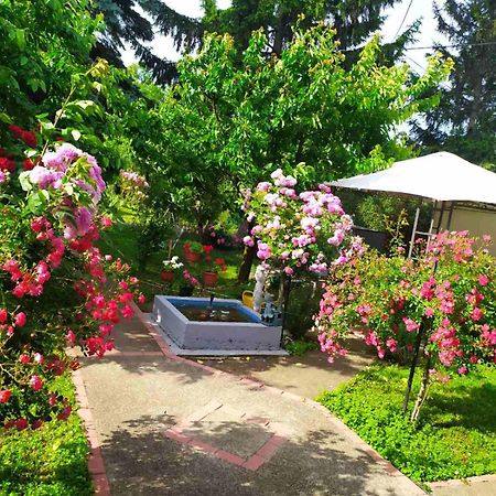 Apartment Ljupka Pančevo エクステリア 写真