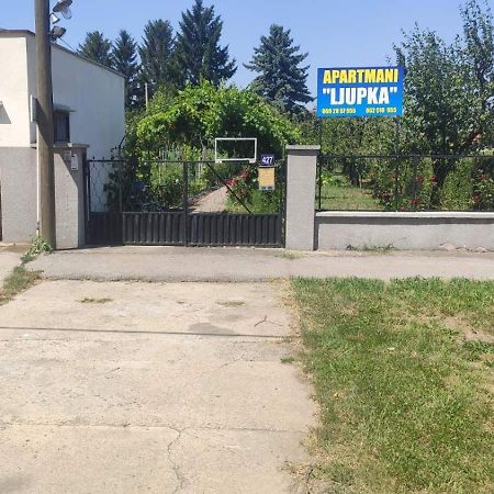 Apartment Ljupka Pančevo エクステリア 写真