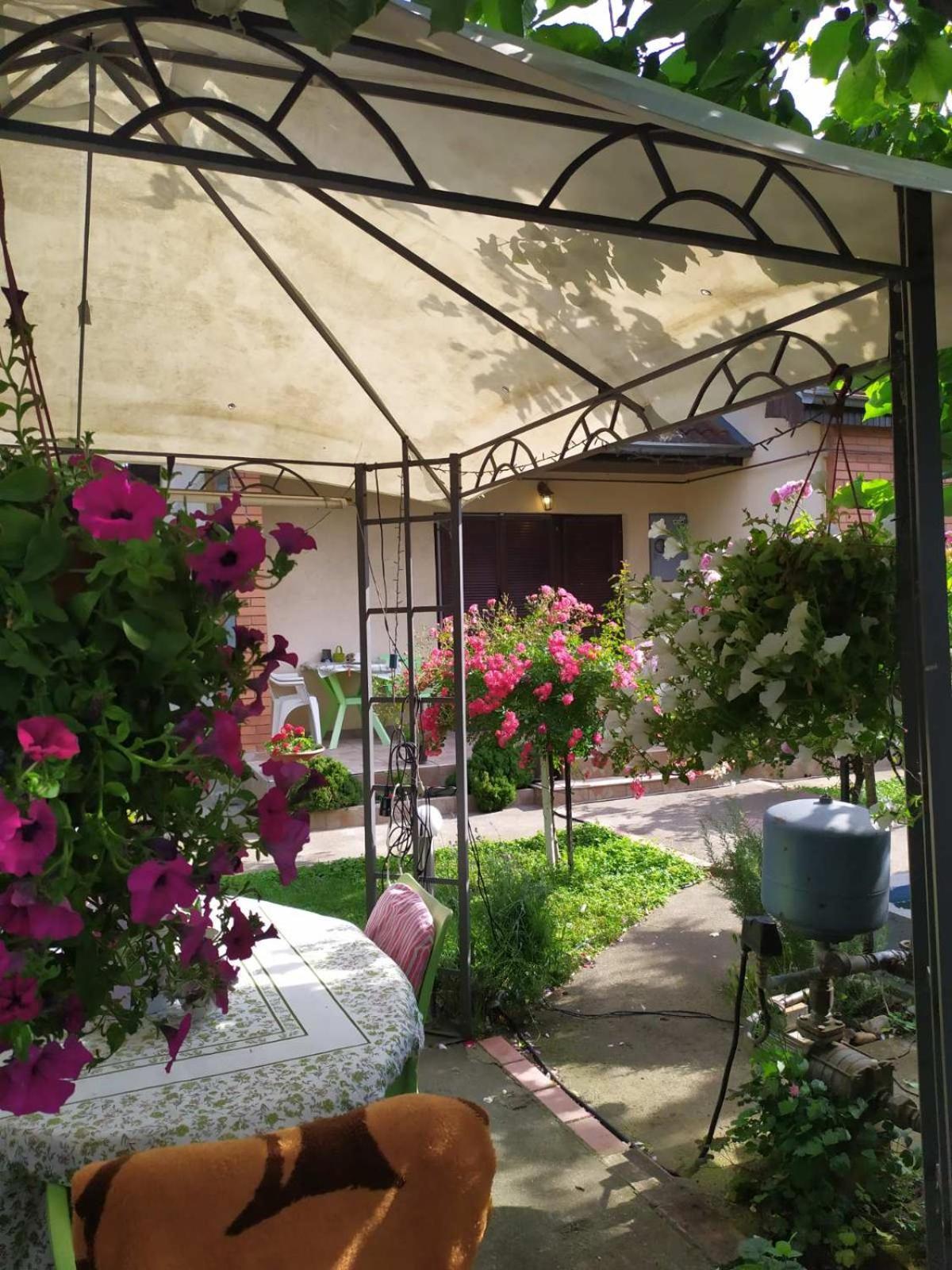 Apartment Ljupka Pančevo エクステリア 写真