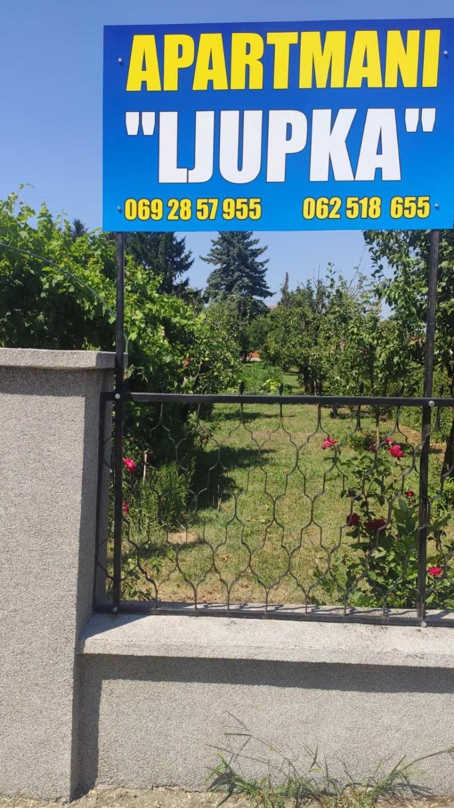 Apartment Ljupka Pančevo エクステリア 写真