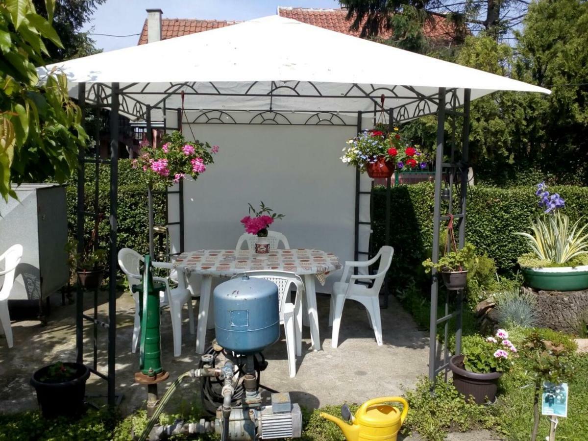 Apartment Ljupka Pančevo エクステリア 写真