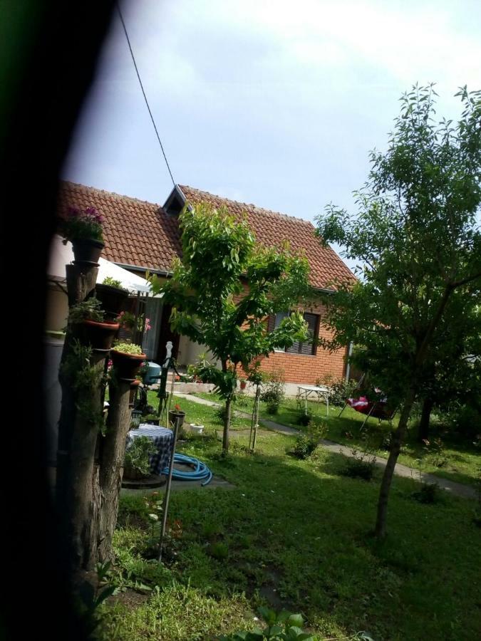 Apartment Ljupka Pančevo エクステリア 写真