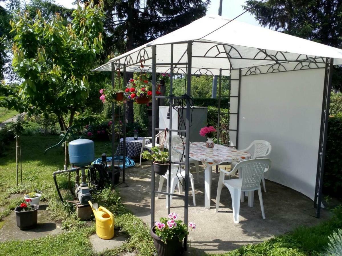 Apartment Ljupka Pančevo エクステリア 写真