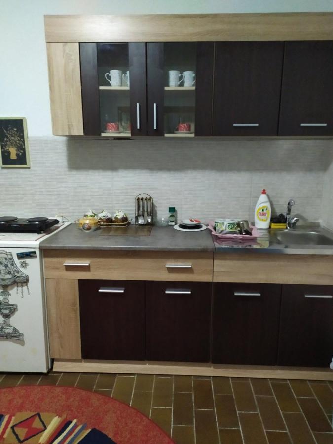Apartment Ljupka Pančevo エクステリア 写真